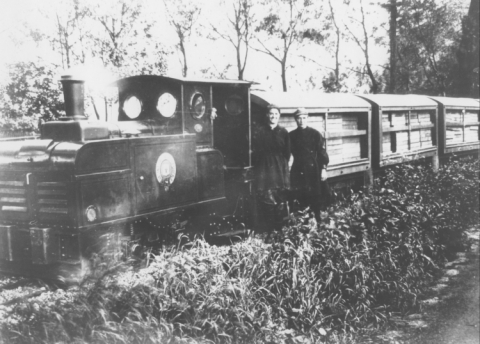 Narrow Gauge Railway