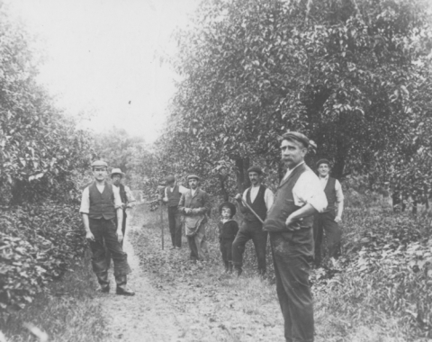 Pryor's Orchard